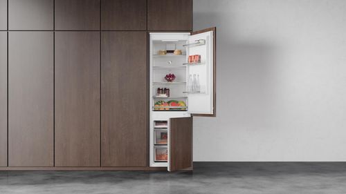 купить Встраиваемый холодильник Teka RBF 73355 FI в Кишинёве 