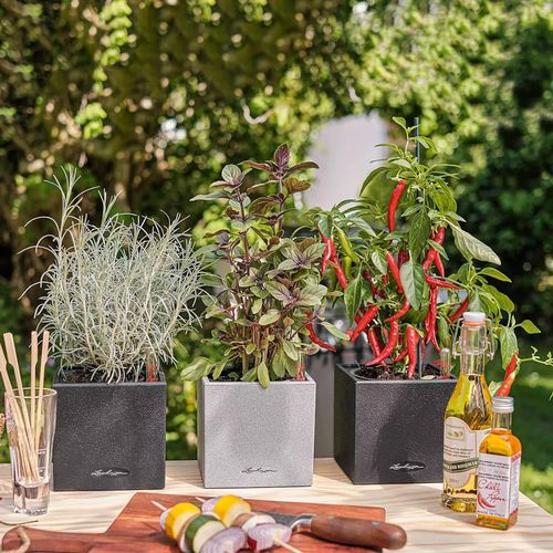 cumpără Ghiveci pentru flori Lechuza Canto Stone 14, Quartz White în Chișinău 