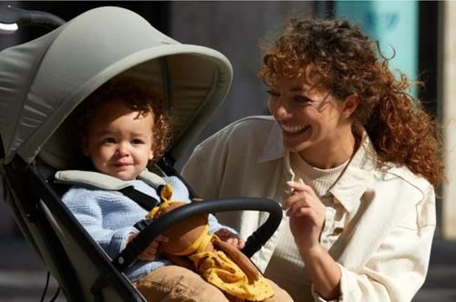 купить Детская коляска Hauck Travel N Care Plus Velvet-olive в Кишинёве 