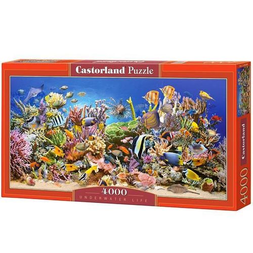 купить Головоломка Castorland Puzzle C-400089 Puzzle 4000 elemente в Кишинёве 