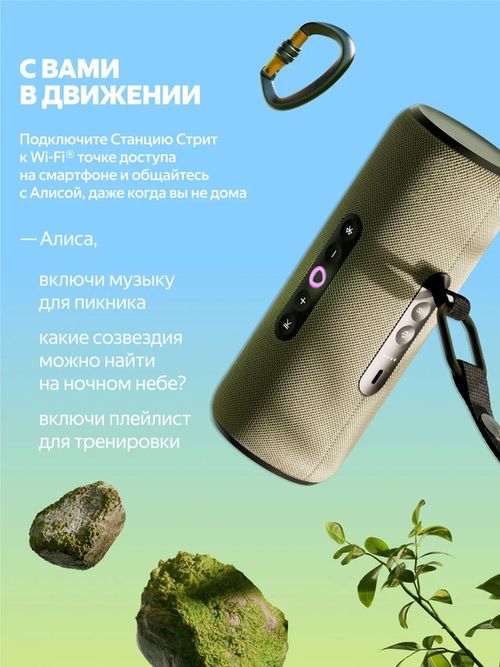 купить Колонка портативная Bluetooth Yandex YNDX-00030GRN Alisa Station Street Green в Кишинёве 