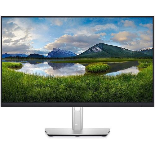 купить Монитор 23.8 TFT IPS LED Dell P2422H Ultrathin Bezel Black Silver WIDE 16:9, 0.275, 5ms, 1000:1 Typical Contrast, Pivot, H:30-83kHz, V:50-76Hz,1920x1080 Full HD, USB 3.2 Hub, VGA, HDMI 1.4, Display Port (monitor/Монитор) XMAS в Кишинёве 