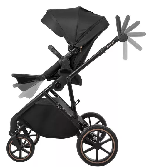 купить Детская коляска Kikka Boo 31001020134 2 in 1 Thea Black в Кишинёве 