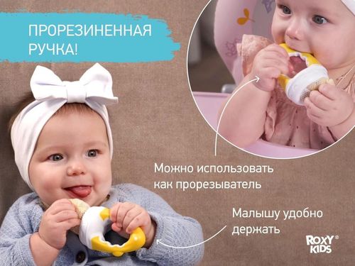cumpără Seturi pentru hrănire bebelușilor Roxy Kids RFN-001 Ниблер с нейлоновой сеточкой, желтый în Chișinău 