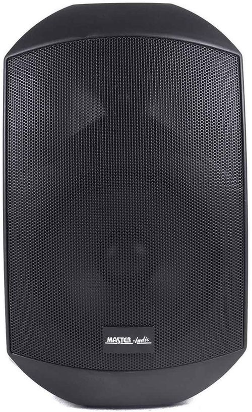 купить Колонки Hi-Fi Master Audio XB420B в Кишинёве 