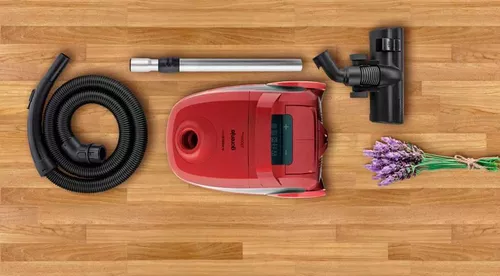 cumpără Aspirator cu container Gorenje VC2321GPRRCY în Chișinău 