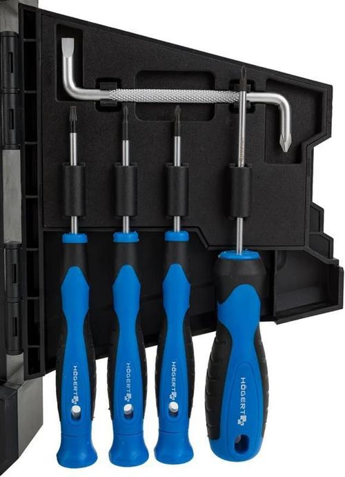 купить Набор ручных инструментов Hoegert HT1S105 Набор отверток и бит 63 шт. в Кишинёве 