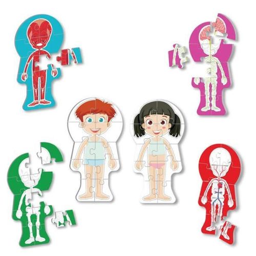 купить Головоломка Noriel NOR5434 Puzzle Corpul omenesc, 60 elem. (ro) в Кишинёве 