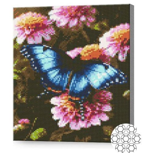 купить Картина по номерам Art Gallery GB86822 Mozaic cu diamante 30x40cm Fluture pe flori в Кишинёве 