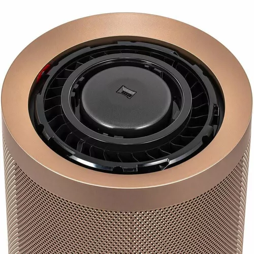 cumpără Purificator de aer Dyson BP04 Purifier Big+Quiet Formaldehyde în Chișinău 