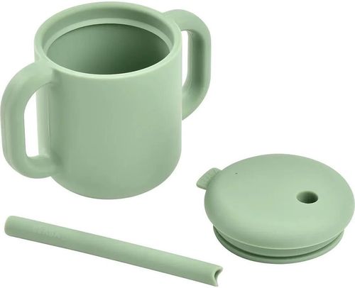 купить Поильник Beaba B913573 Cana de antrenament cu pai din silicon Sage Green в Кишинёве 
