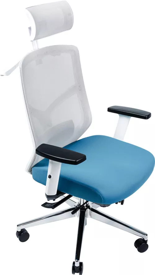 cumpără Fotoliu de birou CUSTÓ Nitra, gri - albastru în Chișinău 