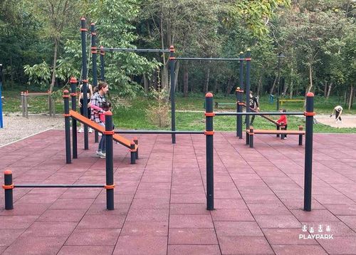 cumpără Echipament pentru exerciții în aer liber PlayPark 2209 Bare paralele duble C-009 în Chișinău 