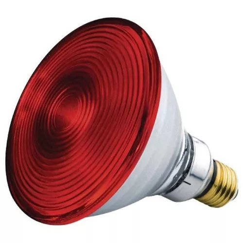 купить Лампочка Beurer Lampa rezerva p/u IL21/35 в Кишинёве 