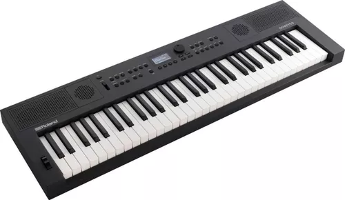 купить Цифровое пианино Roland GOKEYS5-GT в Кишинёве 