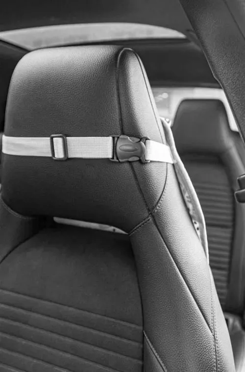 купить Аксессуар к детским автокреслам BabyJem 334 Organizator pentru scaun auto Jungle Albastru в Кишинёве 