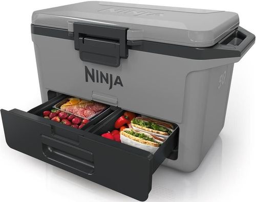 cumpără Geantă frigorifică NINJA FB151EUGY în Chișinău 