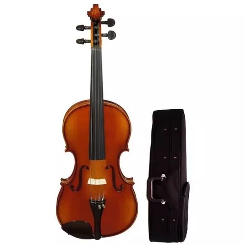 купить Скрипка Parrot PU 310 1/2 VIOARA в Кишинёве 