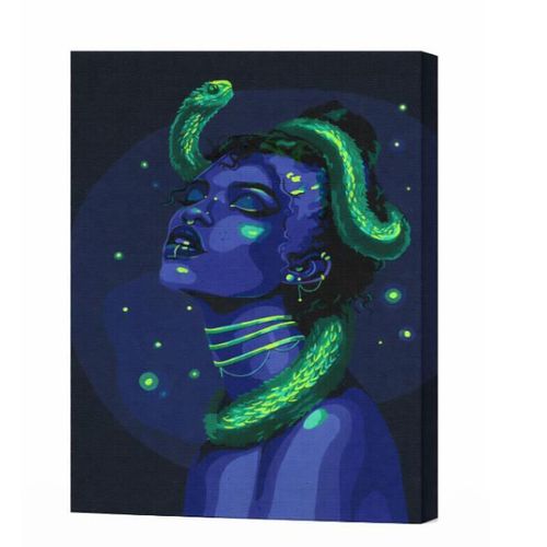 купить Картина по номерам BrushMe BS54459 40x50cm Eco, Sarpele tau neon в Кишинёве 