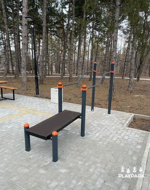 купить Уличный тренажер PlayPark 6502 Bare paralele în creștere PD-02 в Кишинёве 