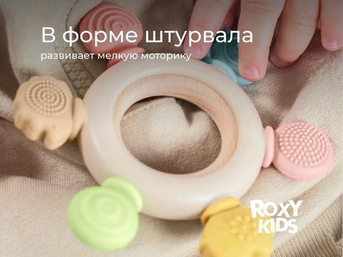 cumpără Iinel dentiție Roxy Kids RWDN-001 Штурвал, прорезыватель силиконовый с кольцом из бука în Chișinău 