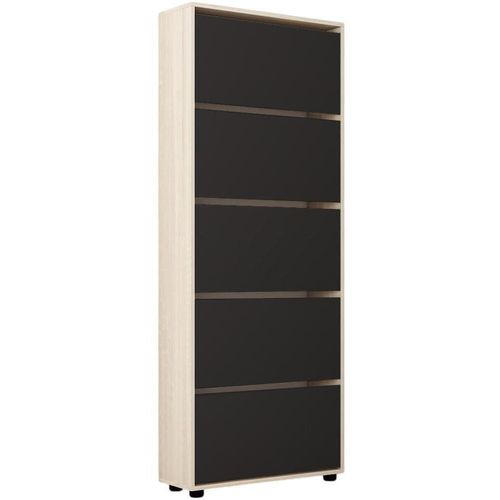 купить Полка для обуви Mobildor-Lux Leo 100x27x203H cm Sonoma/Anthracite в Кишинёве 