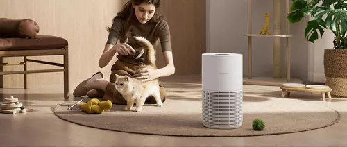 cumpără Filtru pentru purificator de aer Xiaomi Smart Pet Care Air Purifier Filter în Chișinău 