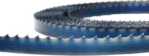 cumpără Accesoriu pentru fierăstrăie Holzkraft 5160012 Banda p/u ferăstrău 1575 x 10 x 0.5 mm, 4 TPI în Chișinău 