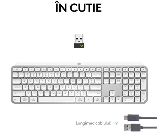 cumpără Tastatură Logitech MX Keys S - Pale Grey în Chișinău 