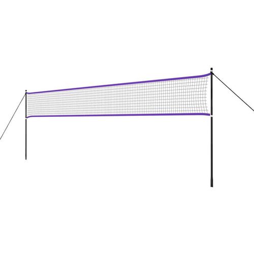 купить Инвентарь для бадминтона Nils 3029 Plasa badminton 600x60cm + Full Cover (14-40-010) в Кишинёве 