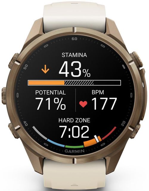cumpără Ceas inteligent Garmin Fenix 9 Pro 43mm, GoldTi w/Crm/FrGry band (010-04335-26) în Chișinău 