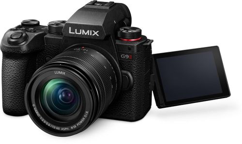 купить Фотоаппарат беззеркальный Panasonic Lumix DC-G9M2MEE в Кишинёве 
