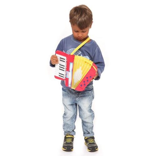 cumpără Jucărie muzicală Bontempi 331780 Аккордеон с 17 клавишами în Chișinău 