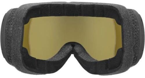 cumpără Ochelari de protecție Uvex Downhill 2100 CV black SL/whit-gree în Chișinău 