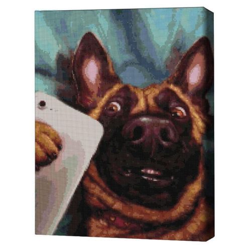 купить Картина по номерам BrushMe DBS1209FC 40x50 сm (fără cutie) – Selfie Charlie, Lucia Heffernan в Кишинёве 