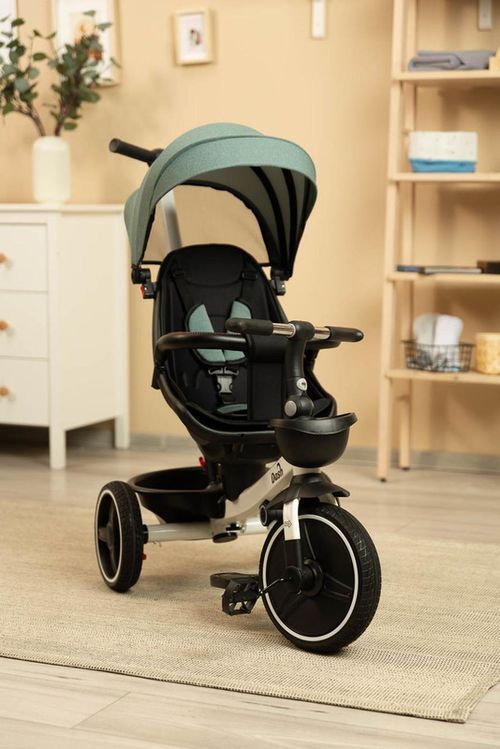 купить Велосипед-коляска Toyz 0358 Dush Tricicle Verde в Кишинёве 
