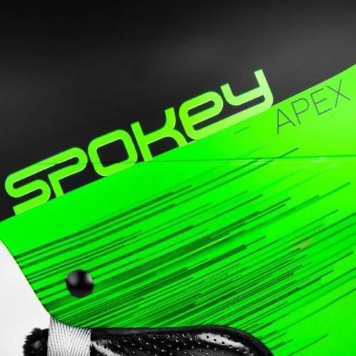 купить Защитный шлем Spokey 926371 APEX GN M-S в Кишинёве 