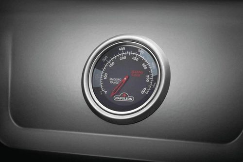 cumpără Grătar Napoleon FREESTYLE 365, gratar gaz cu SizzleZone divin (F365DSIBPGT) în Chișinău 