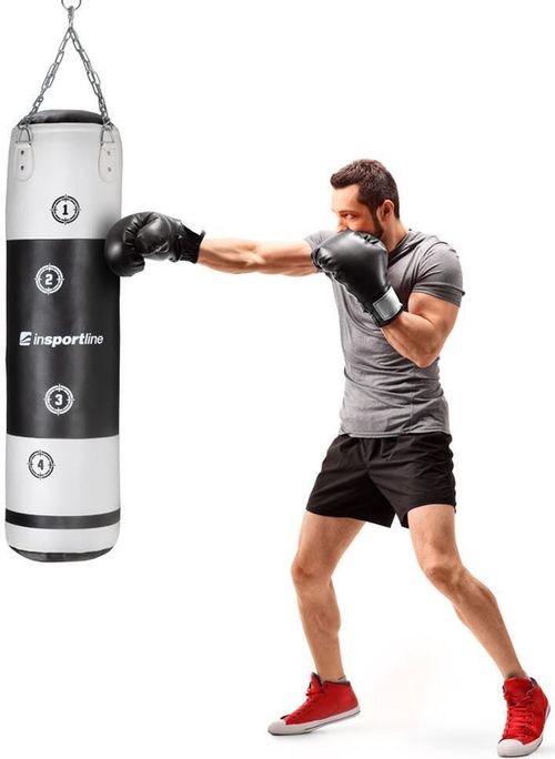 cumpără Articol de box inSPORTline 11611 Sac de box Robkin 120x35 cm (33 kg) IN 22055 în Chișinău 