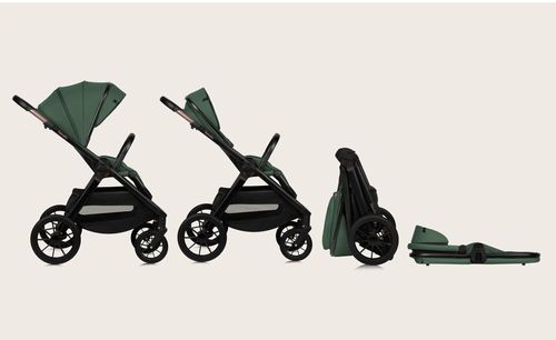 купить Детская коляска Lionelo Carucior 2in1 Layla Green Forest в Кишинёве 