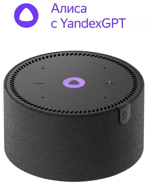 cumpără Boxă portativă Bluetooth Yandex YNDX-00021K Alisa Station Mini Black în Chișinău 