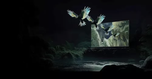 cumpără Televizor Xiaomi TV S mini LED 75 în Chișinău 