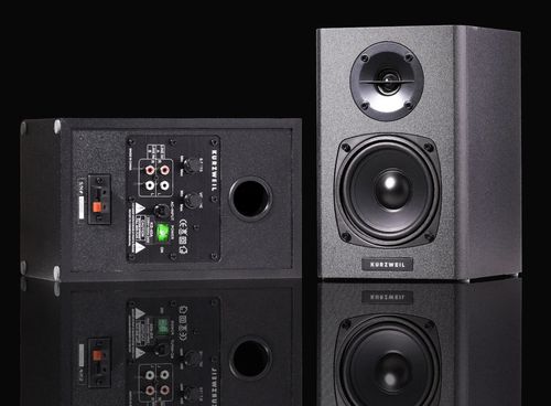 cumpără Boxe Hi-Fi Kurzweil KS-40A, pereche în Chișinău 