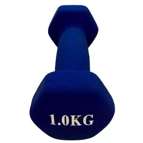 cumpără Ganteră miscellaneous 4555 Gantera 1 kg mat în Chișinău 