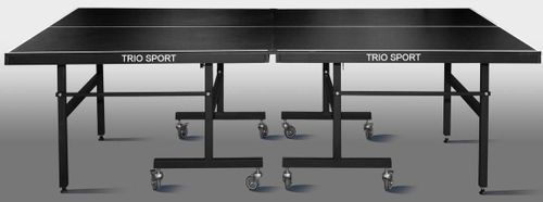 купить Теннисный инвентарь Trio Sport Master Sport Indoor Black в Кишинёве 