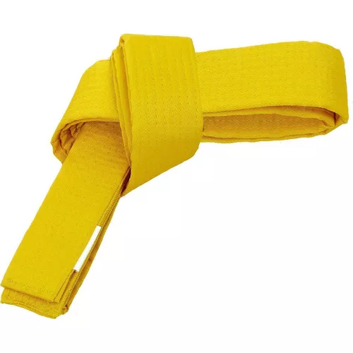 cumpără Îmbrăcăminte sport SUHS 10966 Curea pt kimono l=280 cm CO-4073 în Chișinău 