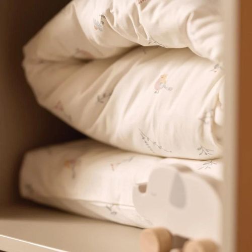 купить Детское постельное белье Jollein 003-005-67104 Set Huse de plapuma si perna Lovely Birds, 100x140cm в Кишинёве 