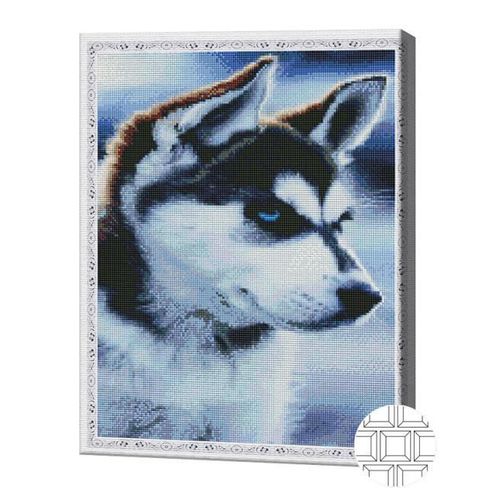 купить Картина по номерам Art Gallery QB204798 Mozaic cu diamante patrate 40x50cm Catelus husky в Кишинёве 