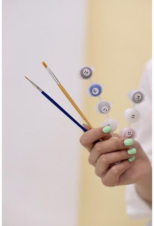 cumpără Tablou pe numere BrushMe BS53929 (în cutie) Câinele de foc în Chișinău 