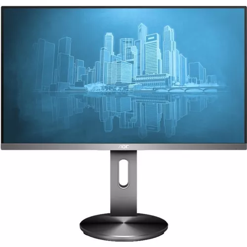 купить Монитор AOC I2490PXQU/BT в Кишинёве 